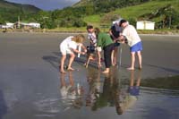 ahipara_009