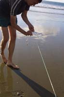 ahipara_010